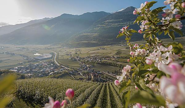 Vacanza a Merano: la magia della città di cura